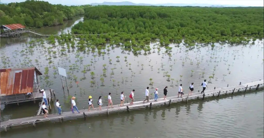 Trapeang Sangkae Mangrove à Kampot